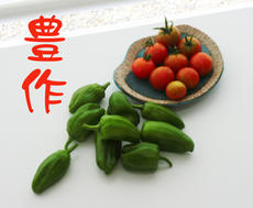 野菜物語3。