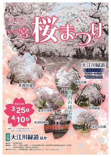 3月25日から4月10日まで！第49回一宮桜祭り
