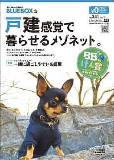 ブルーボックス情報誌2月号☆好評配布中☆