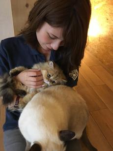 人なつっこい猫ちゃんが出迎えてくれる、人気の猫カフェ♪