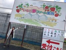 雨の日も寒い日もＯＫ♪気軽に楽しめるいちご狩り！