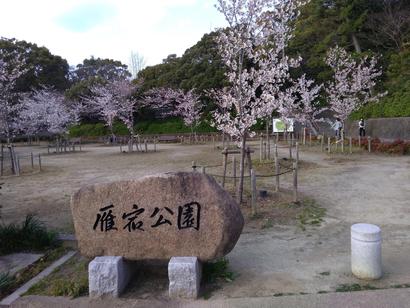 雁宿公園.jpg