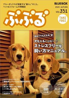 ブルーボックス情報誌秋号☆好評配布中☆