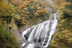 茨城県の良い所❤