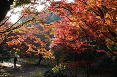 おすすめ紅葉スポット