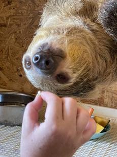 一宮市の小さな動物園～アニマルカフェ不可思議～