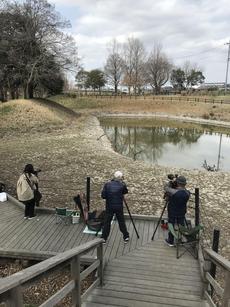 桜が咲くころは青物が釣れます。