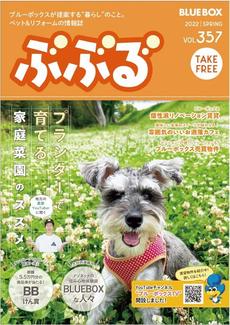 ブルーボックス無料情報誌「ぶぶる」好評配布中♪