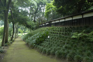 坂野家住宅02.jpg