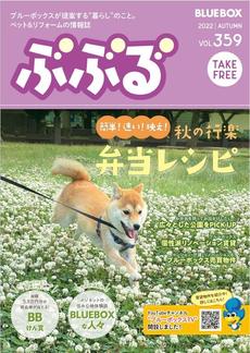 ブルーボックス無料情報誌「ぶぶる」秋号好評配布中♪