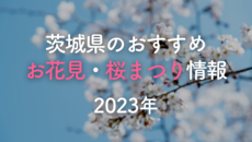 茨城県のおすすめお花見・桜まつり情報【2023】
