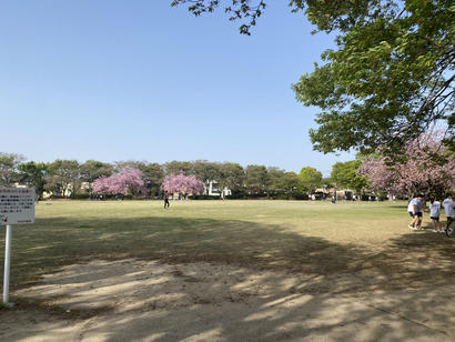 けやき台公園.JPG