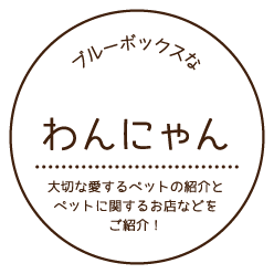 ブルーボックスなわんにゃん「大切な愛するペットの紹介とペットに関するお店などをご紹介！