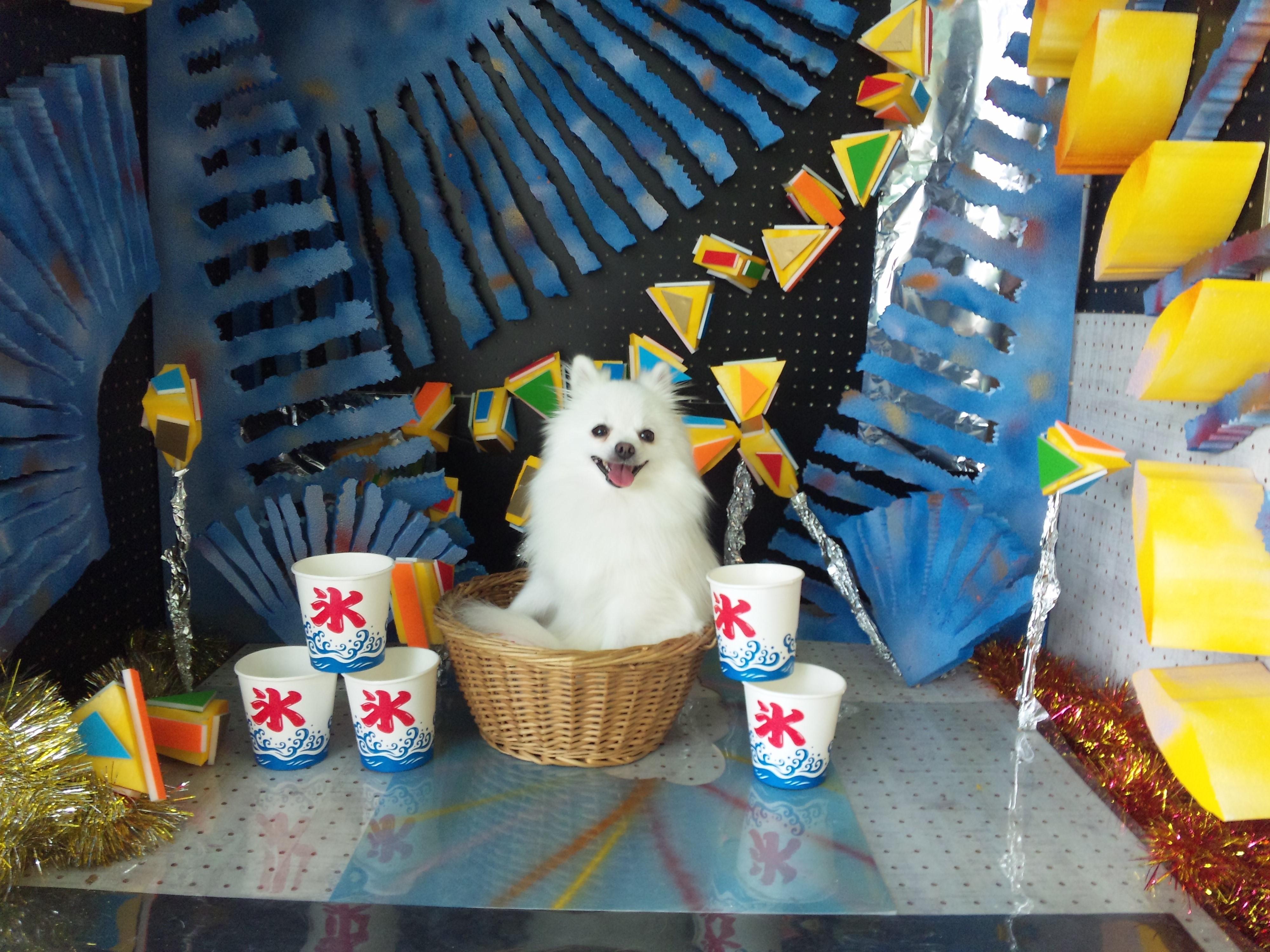 わんにゃんサイトの犬の写真