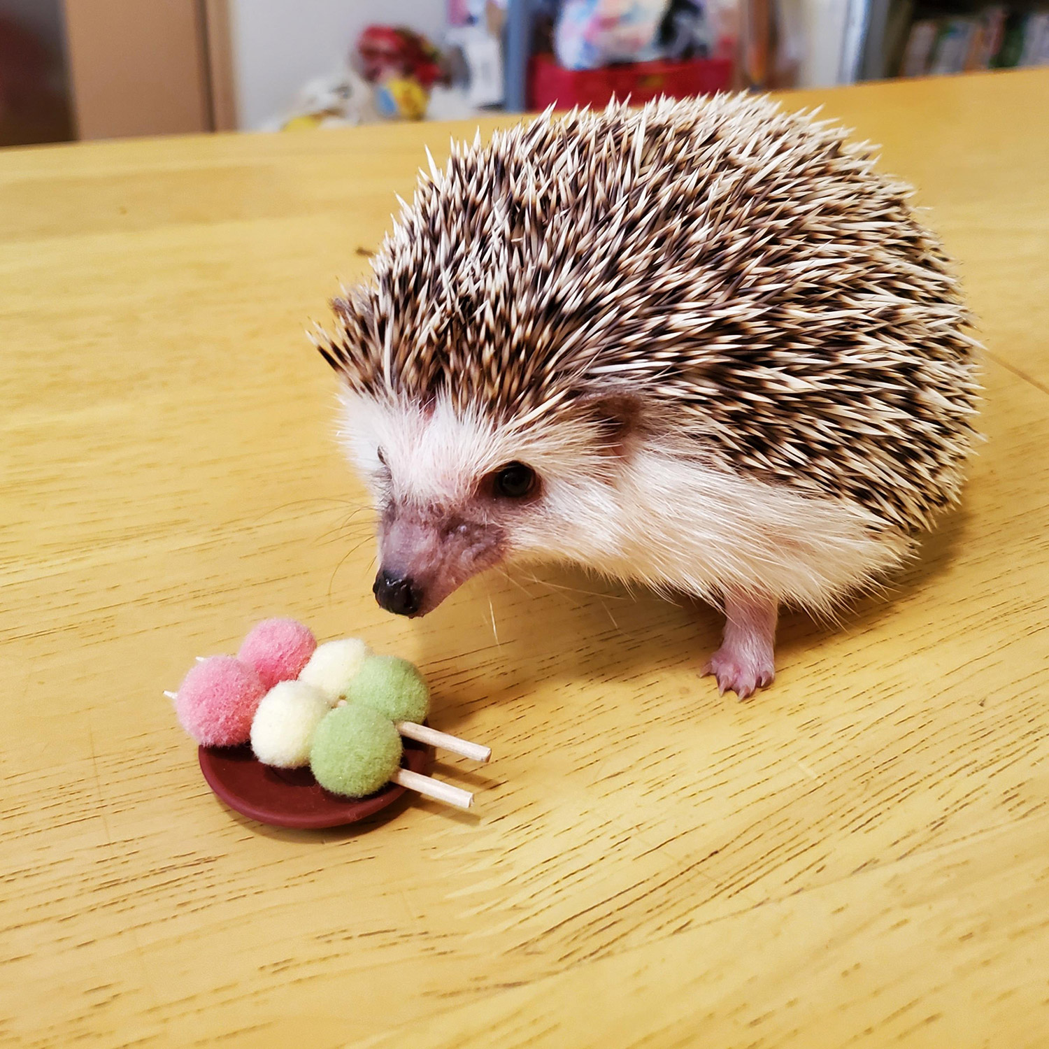 わんにゃんサイトのその他の写真