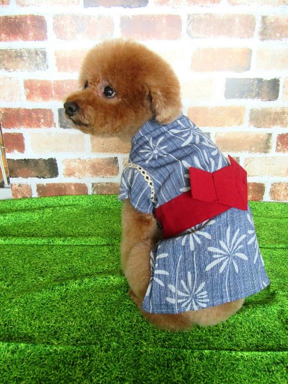 わんにゃんサイトの犬の写真