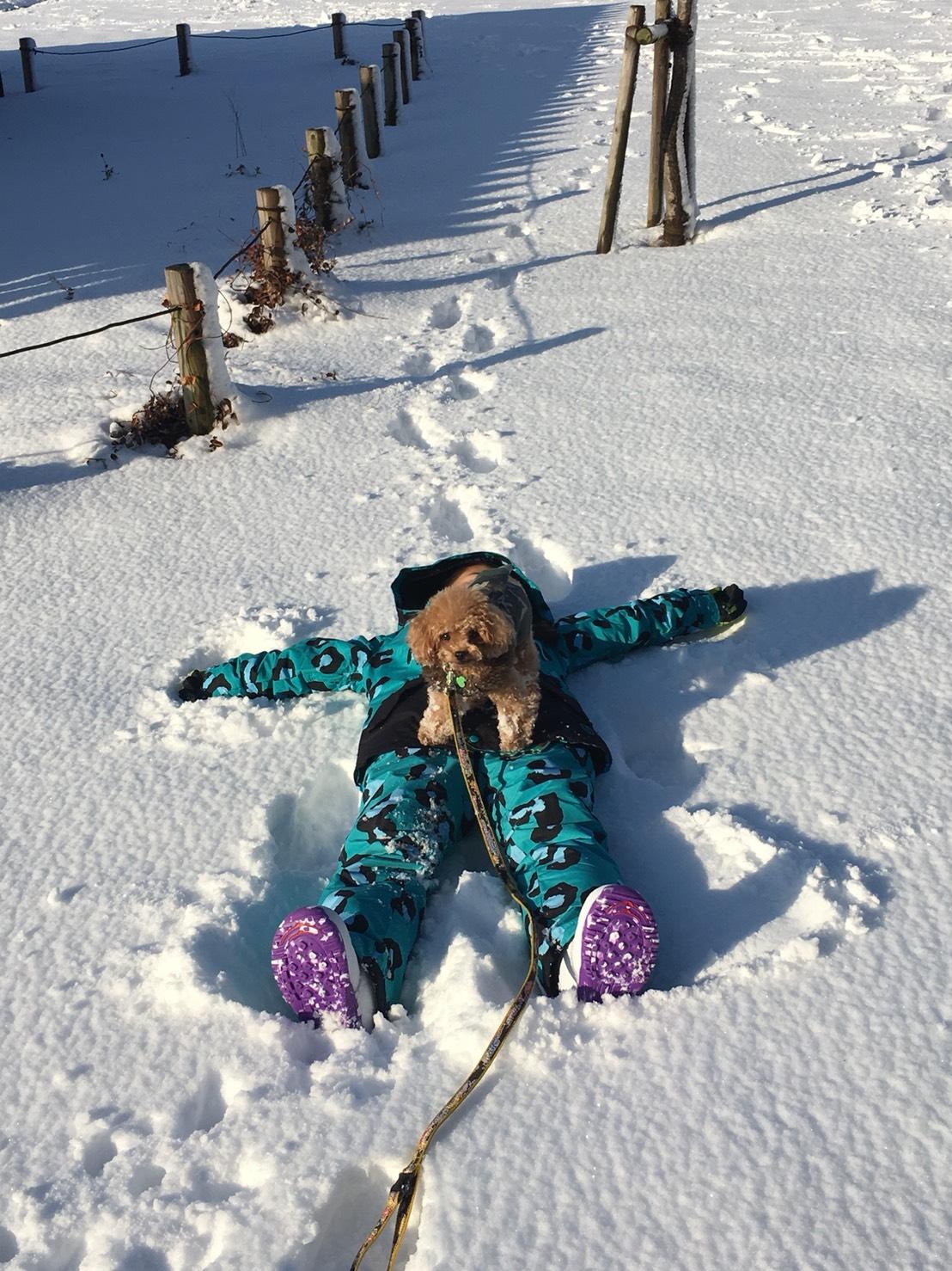 わんにゃんサイトの犬の写真