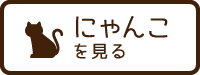 にゃんこを見る